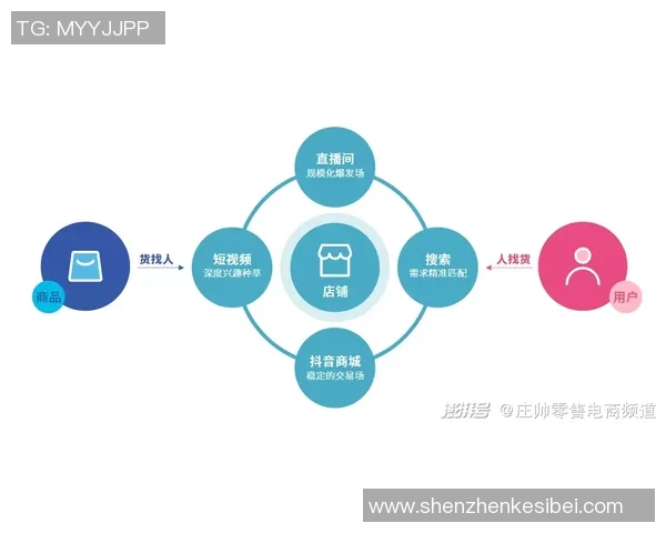 南京攀岩队的成功运营模式与发展策略深度解析