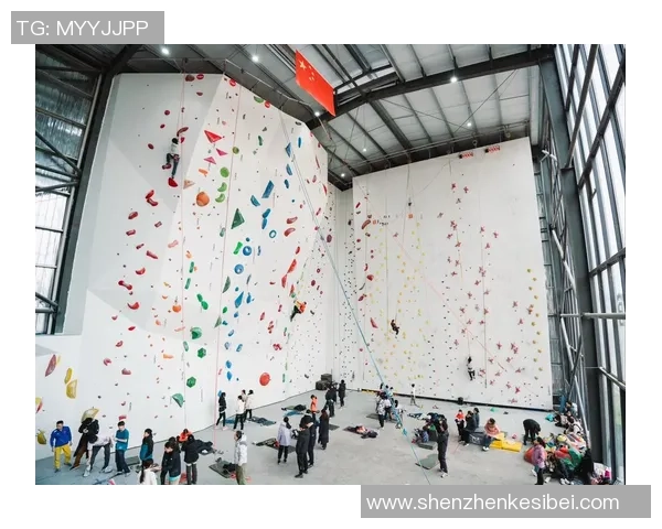 杭州攀岩队的防反体系与攀岩战术的创新探索与实践