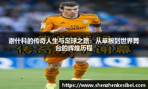 谢什科的传奇人生与足球之路：从草根到世界舞台的辉煌历程