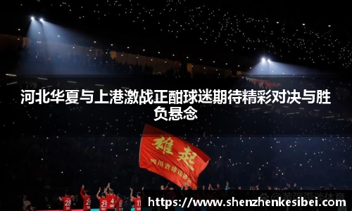 河北华夏与上港激战正酣球迷期待精彩对决与胜负悬念